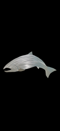 King Salmon