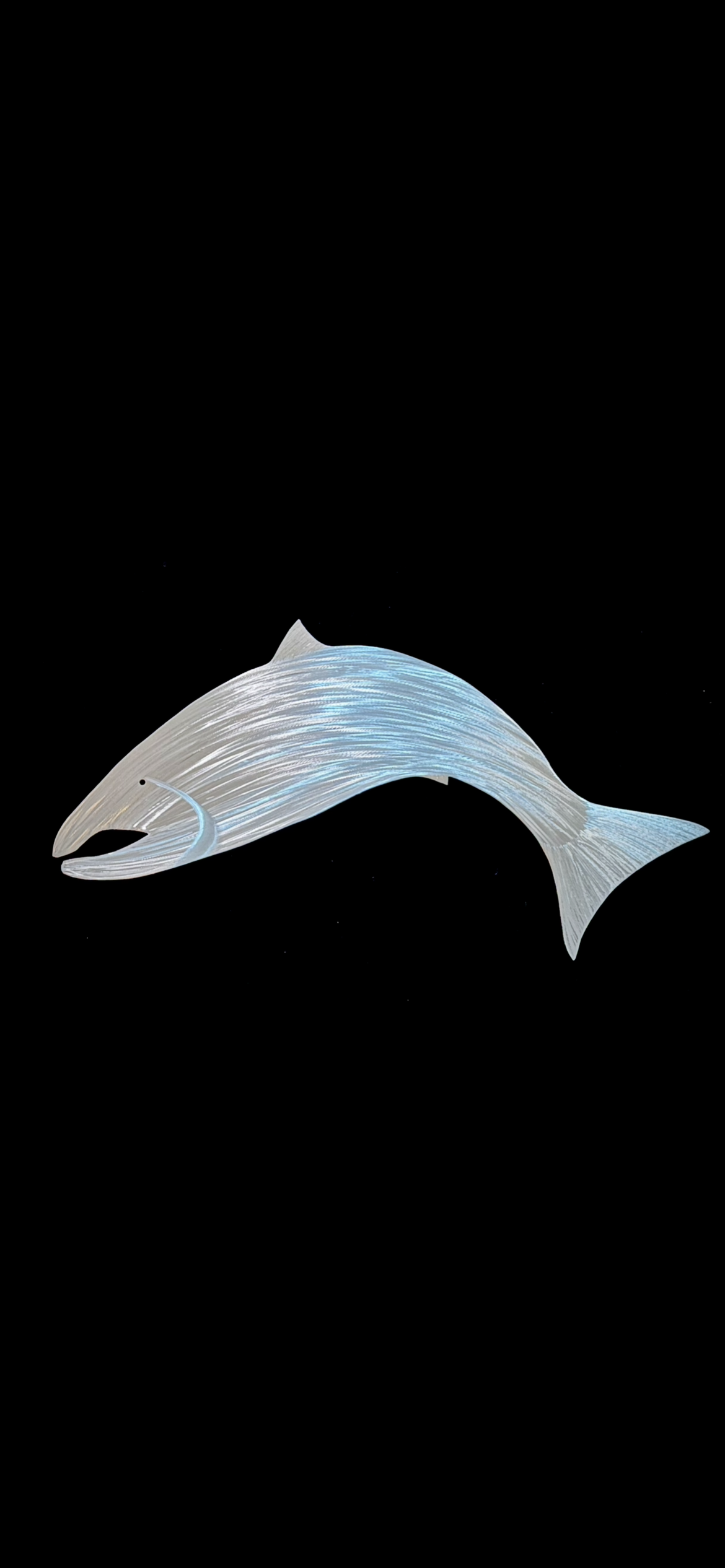 Leaping Salmon